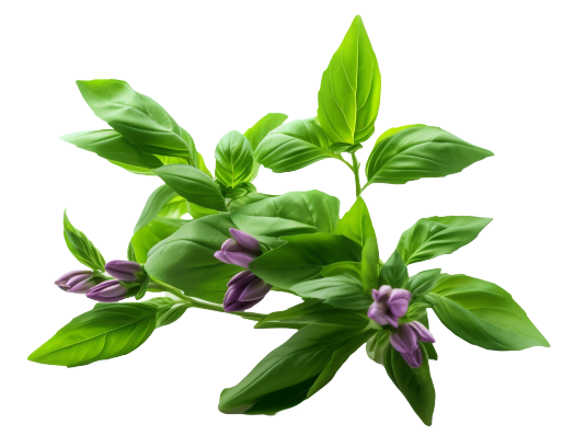 Digital Payment Image